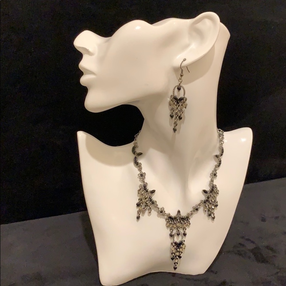 NWOT Silver necklace and earrings set